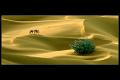 309 - HOMEWARD BOUND 2 - BANERJEE PARAG - india